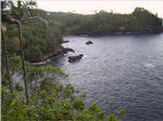Onomea Bay