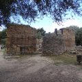 DSC02217