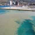 DSC02289