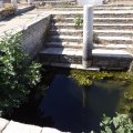 DSC02358