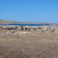 DSC02361