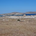 DSC02381