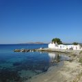 DSC00029