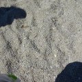 DSC00033