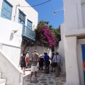 DSC02392