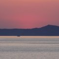 DSC02419