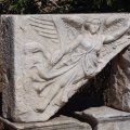 DSC02529