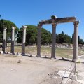 DSC02560